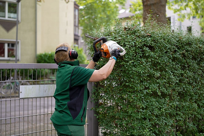 Beber-GmbH-Facharbeiter-Vegetation-Galerie1