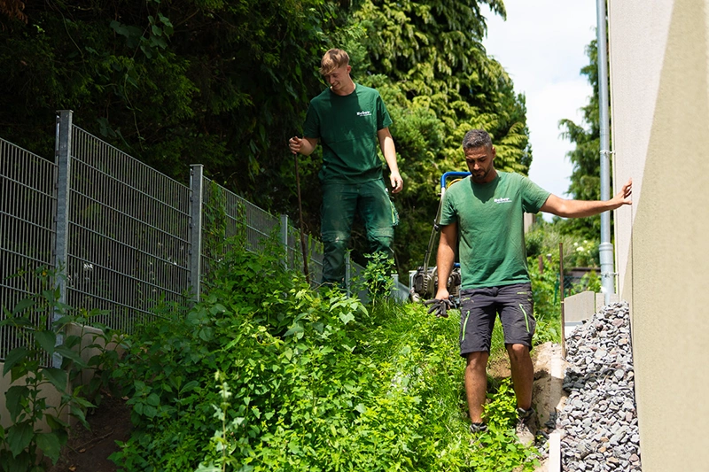 Beber-GmbH-Facharbeiter-Vegetation-Galerie6